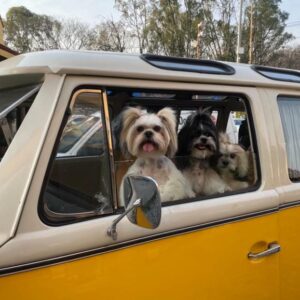 PHOTO-2025-11-29-22-19-41-opt